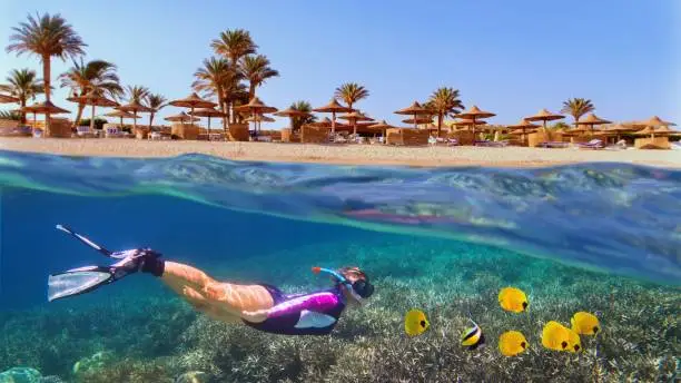 Sharm El Sheikh Snorkeling