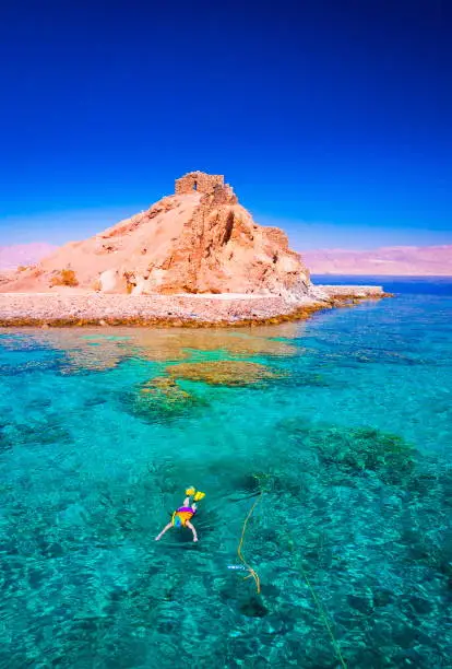 Sharm El Sheikh Snorkeling Gallery Image