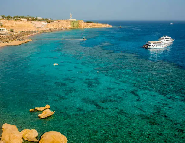 Sharm El Sheikh Snorkeling Gallery Image
