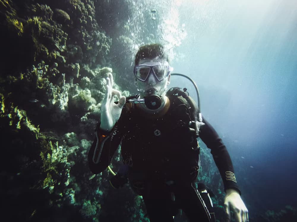 Sharm El Sheikh Snorkeling Gallery Image