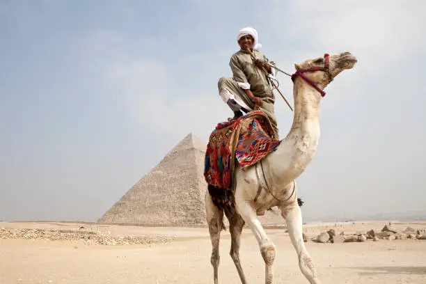 Camel Ride at the Giza Pyramids | Explore Egypt's Timeless Desert Gallery Image