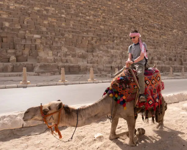 Camel Ride at the Giza Pyramids | Explore Egypt's Timeless Desert Gallery Image