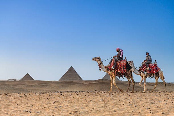 Camel Ride at the Giza Pyramids | Explore Egypt's Timeless Desert Gallery Image