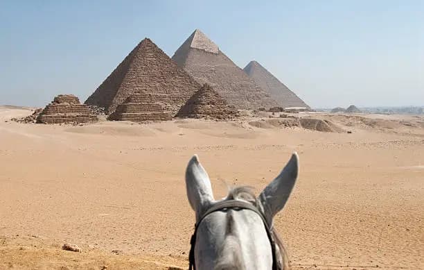 Horse Riding Adventure at the Giza Pyramids | Ride Through Egypt's Desert Gallery Image